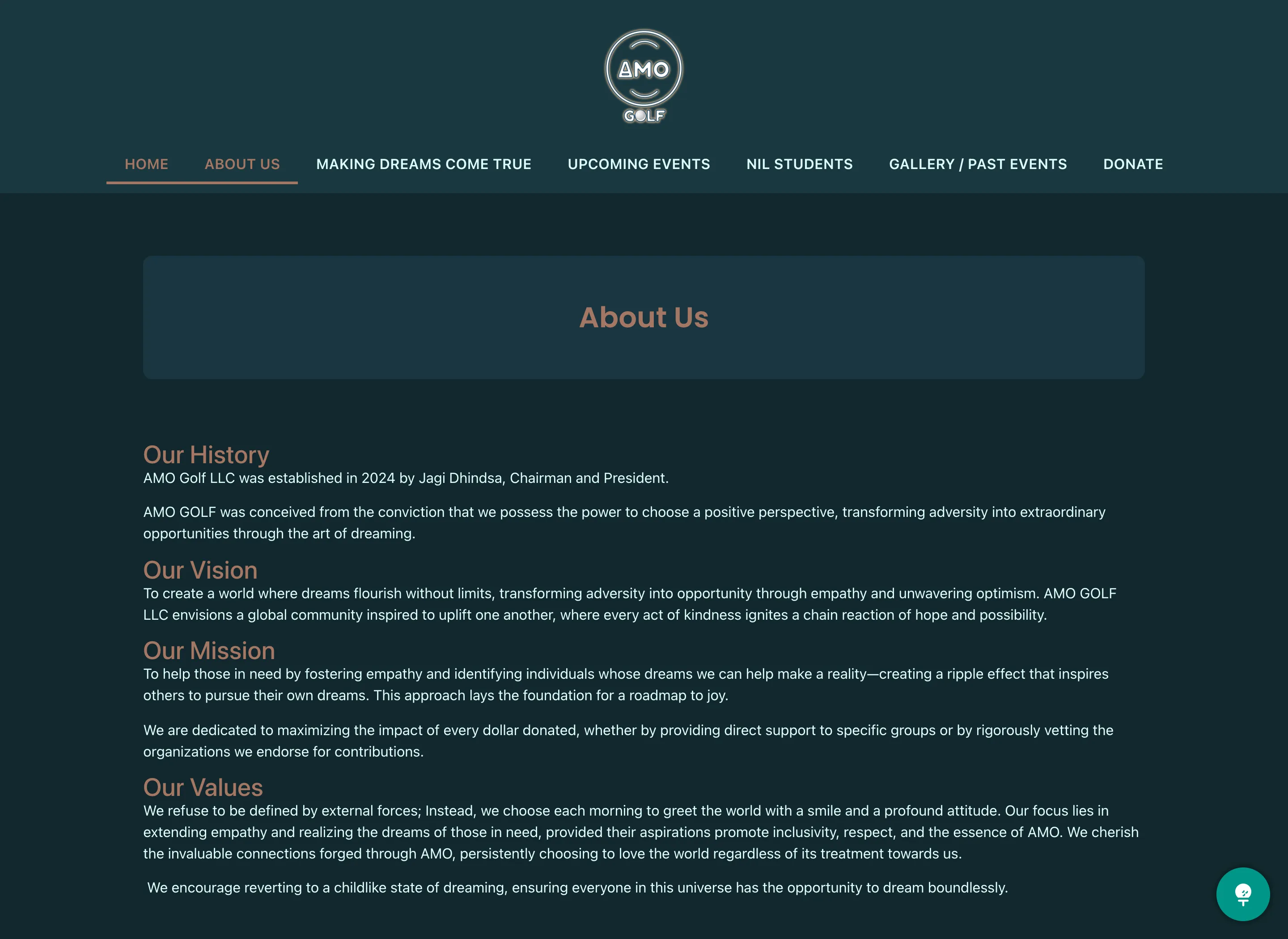 AMO GOLF LLC website hero section showcasing their service.
